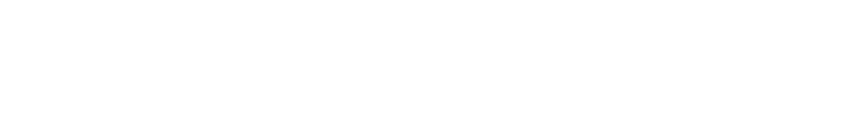 Seko Industrial Logo